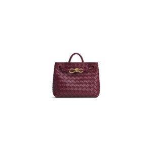Bottega Veneta Small Andiamo