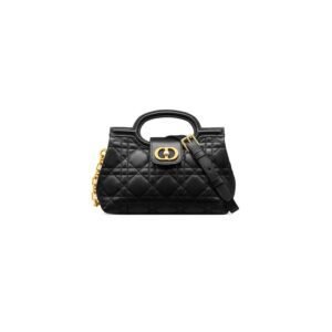 Dior Jolie Top Handle Mini Bag